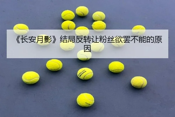 chang-an-yue-ying-jie-ju-fan-zhuan-rang-fen-si-yu-ba-bu-neng-de-yuan-yin-1-103.jpg